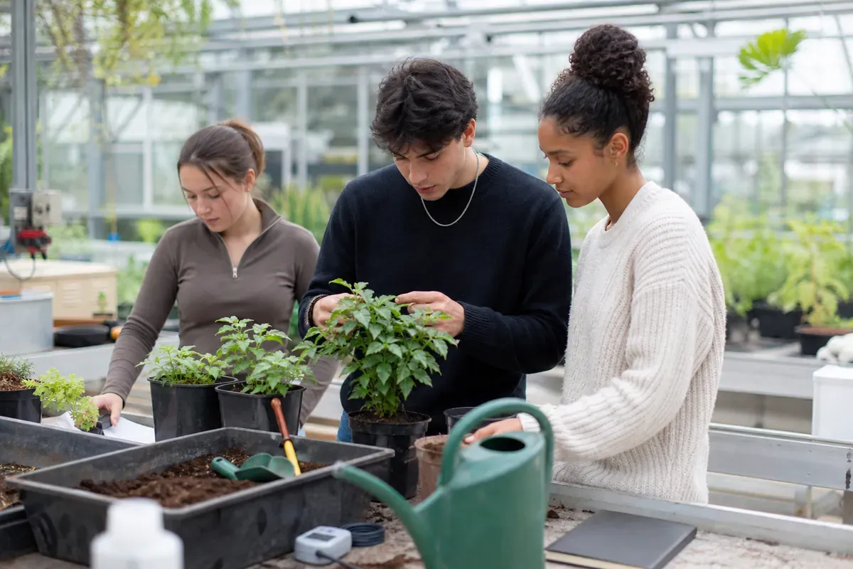 BTS Métiers du végétal : alimentation, ornement et environnement
