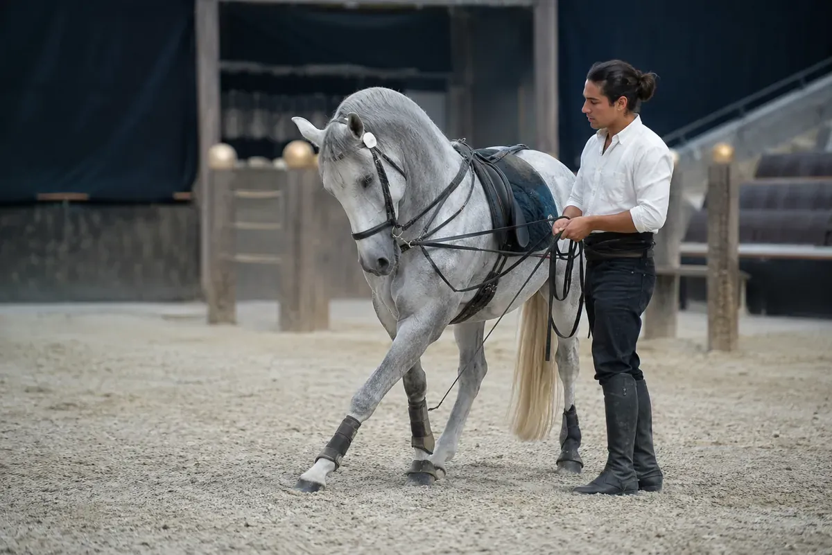 Cavalier de spectacle