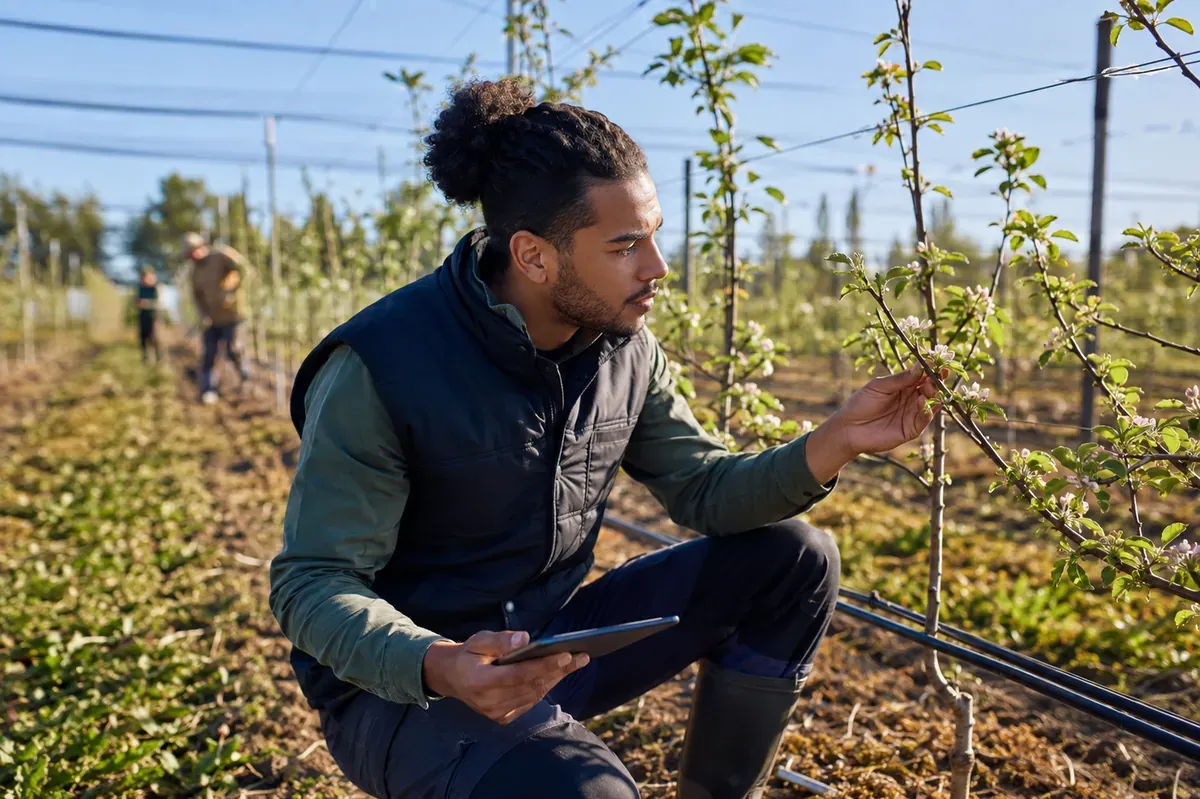 Chef de culture responsable d'unité de production agricole