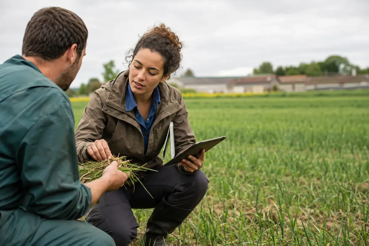 Conseiller technique agricole