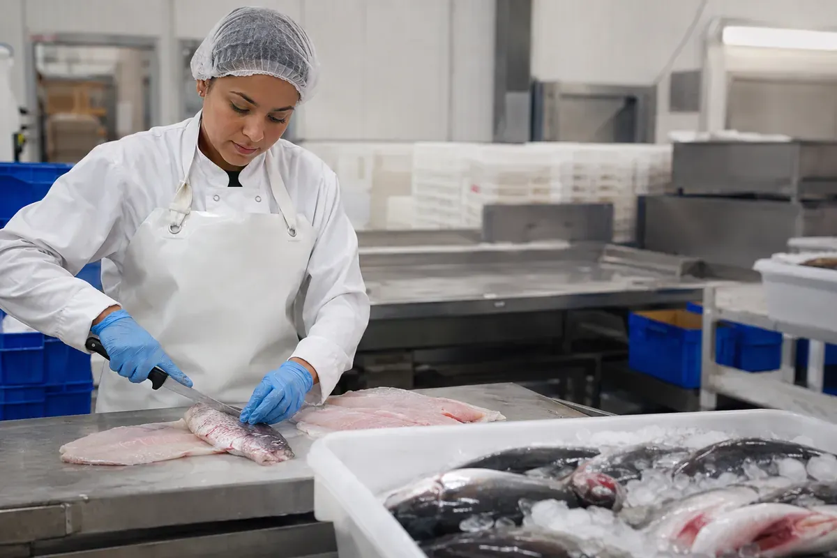 Opérateur de préparation de poissons et produits de la mer