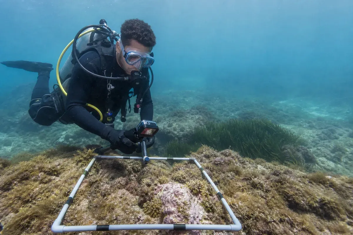 Plongeur scientifique et technique