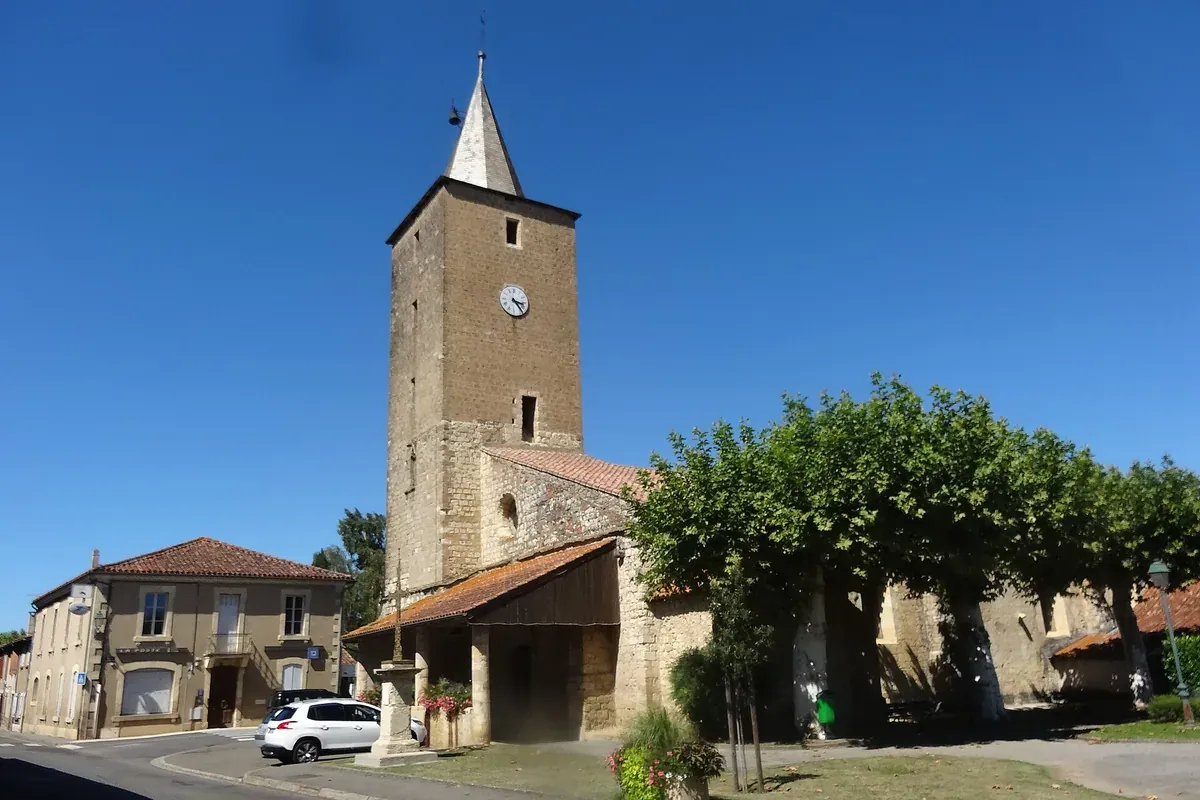 Pavie