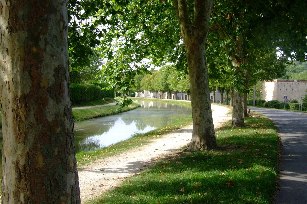 Saint-Amand-Montrond