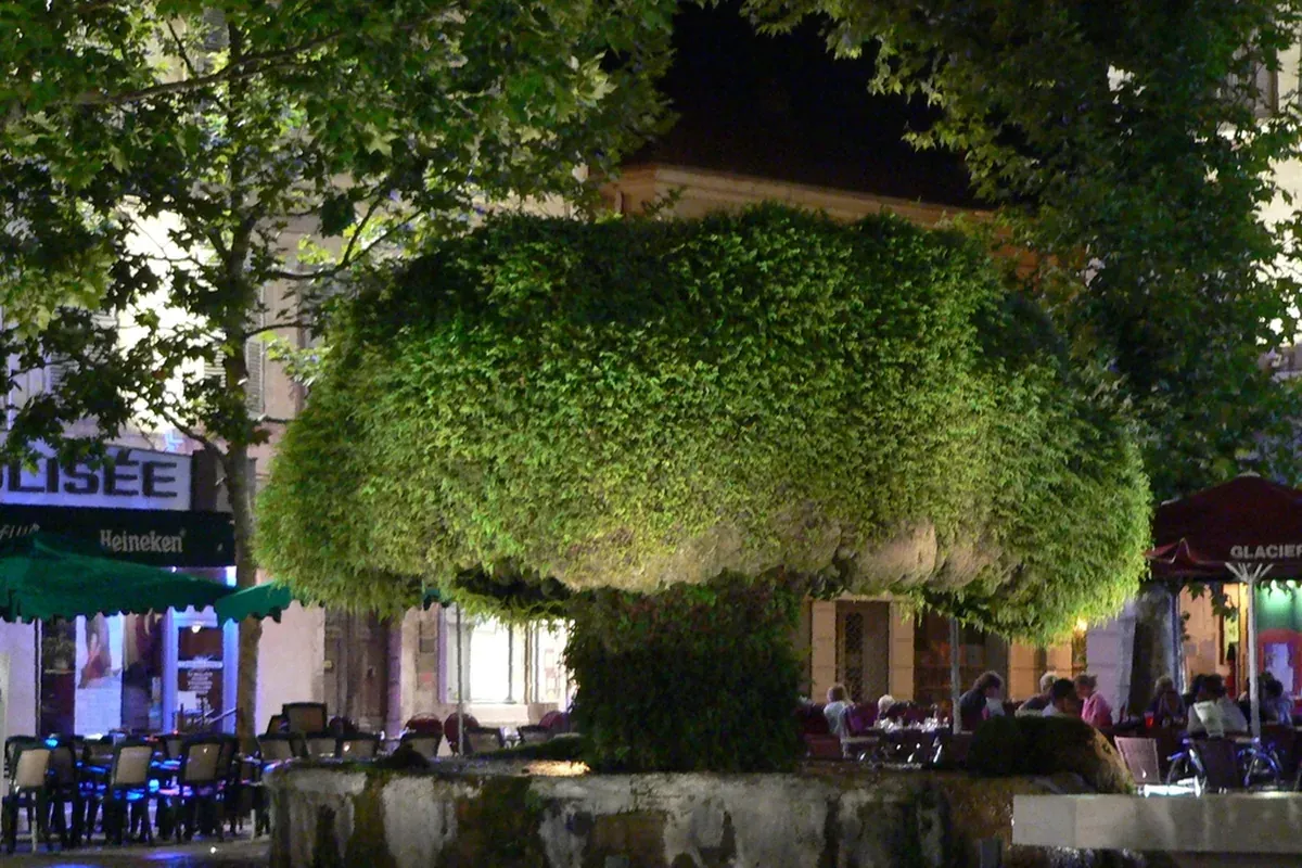 Salon-de-Provence